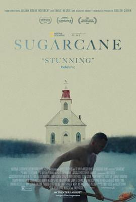 甘蔗 Sugarcane