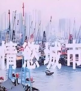 情欲城巿  (1993)