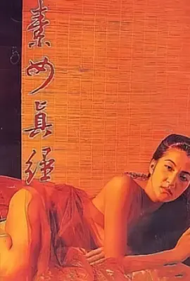 素女经之挑情宝鉴 (1992)