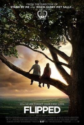 怦然心动 (2010)