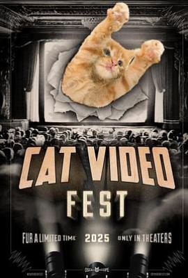 2025年猫视频节
