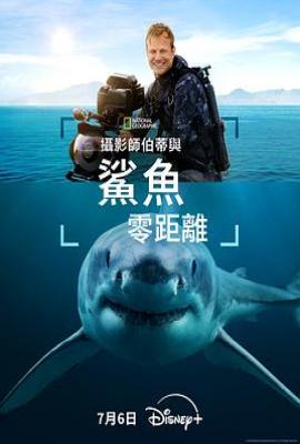 摄影师贝尔蒂与鲨鱼零距离 (2025)