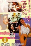 三度偷情(1993)