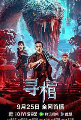 寻棺(2025)