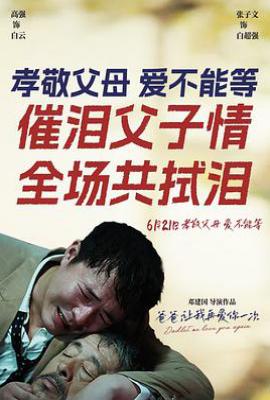 爸爸，让我再爱你一次 (2026)