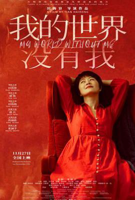 我的世界没有我 (2025)