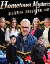 家乡之谜3：幕后谋杀(2025)