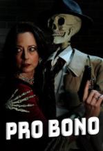 专业志愿服务侦探 Pro Bono(2025)