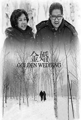 金婚 (2007)