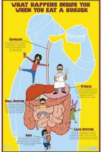 开心汉堡店 第八季 Bob’s Burgers Season 8 (2017)