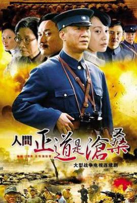 人间正道是沧桑 (2009)