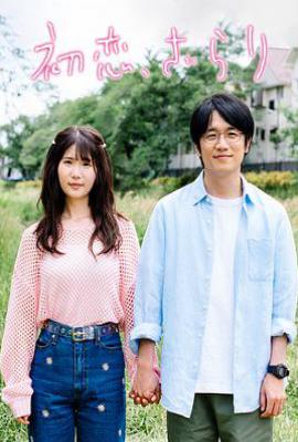 日剧初恋、稍显粗糙 初恋、ざらり (2023)