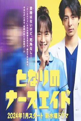 日剧隔壁的护士助理/ 日剧隔壁的护佐姐姐 (2024)