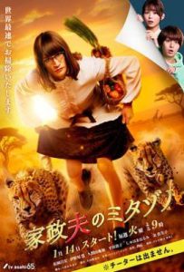 日剧家政夫三田园第七季  (2025)