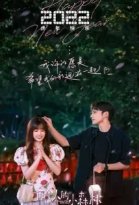 两个人的小森林 (2022)