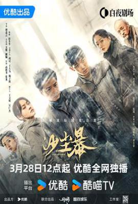 沙尘暴电视剧 (2025)