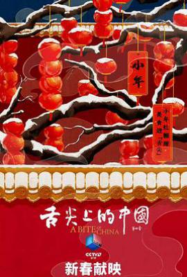 舌尖上的中国 第四季 (2025)