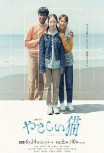 日剧温柔的猫 やさしい猫 (2023)