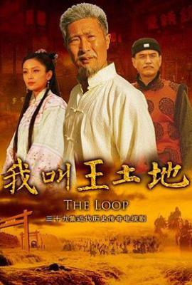 我叫王土地 (2012)