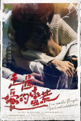 台剧走过爱的荒蛮(2022)