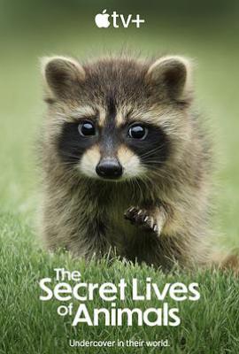 动物的秘密生活(2024)