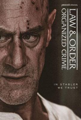 美剧法律与秩序：组织犯罪 第五季 (2025)