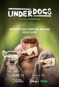 废柴英雄 / 失败者 / 弱势者(2025)