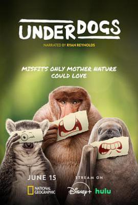 废柴英雄 / 失败者 / 弱势者(2025)