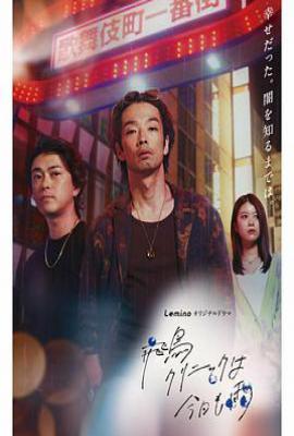 日剧飞鸟诊所今天也下雨 (2025)