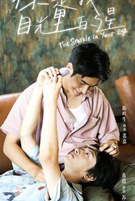 台剧你是我目光里的星 (2025)