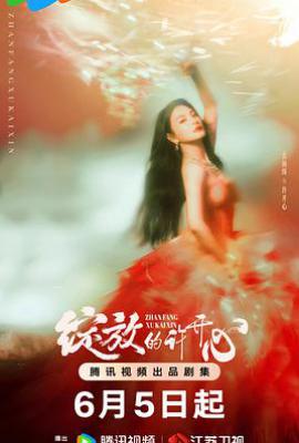 绽放的许开心 (2025)