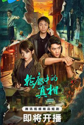 轮廓中的真相 (2025)