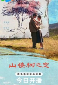 山楂树之恋 (2025)