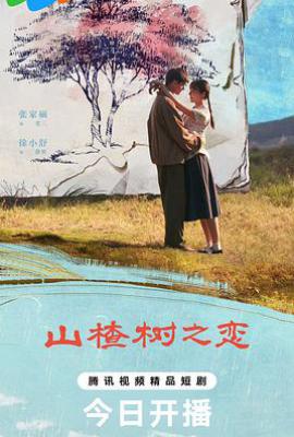 山楂树之恋 (2025)