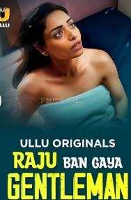 Raju Ban Gaya Gentleman(2025)