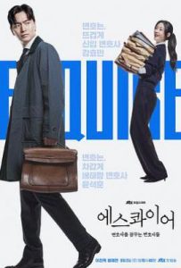 时尚先生：梦想成为律师的律师 (2025)