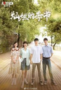 灿烂的季节 (2022)