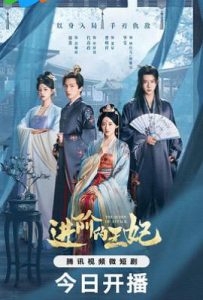 进阶的王妃 (2025)