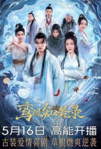 鸾凤知若录 (2025)