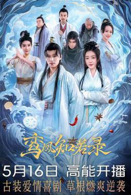 鸾凤知若录 (2025)