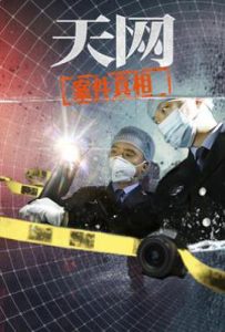 天网：案件真相 (2025)