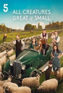 万物生灵 第六季 (2025)