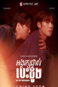 我的顶级保镖 (2025)