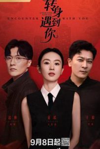 转身遇到你 (2016)