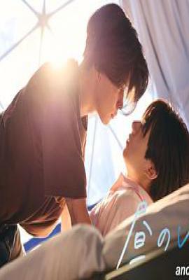 白日梦 另一面 (2025)