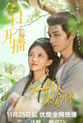 借一百天来爱你 (2025)