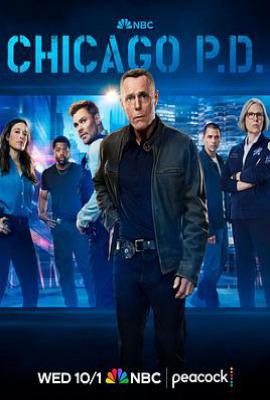 芝加哥警署 第十三季 (2025)
