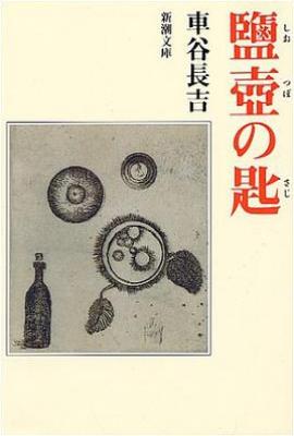 盐壶之匙/塩壷の匙
