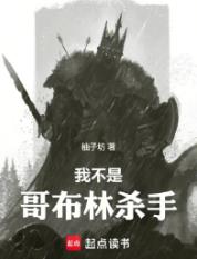 我不是哥布林杀手