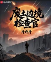 废土边境检查官
